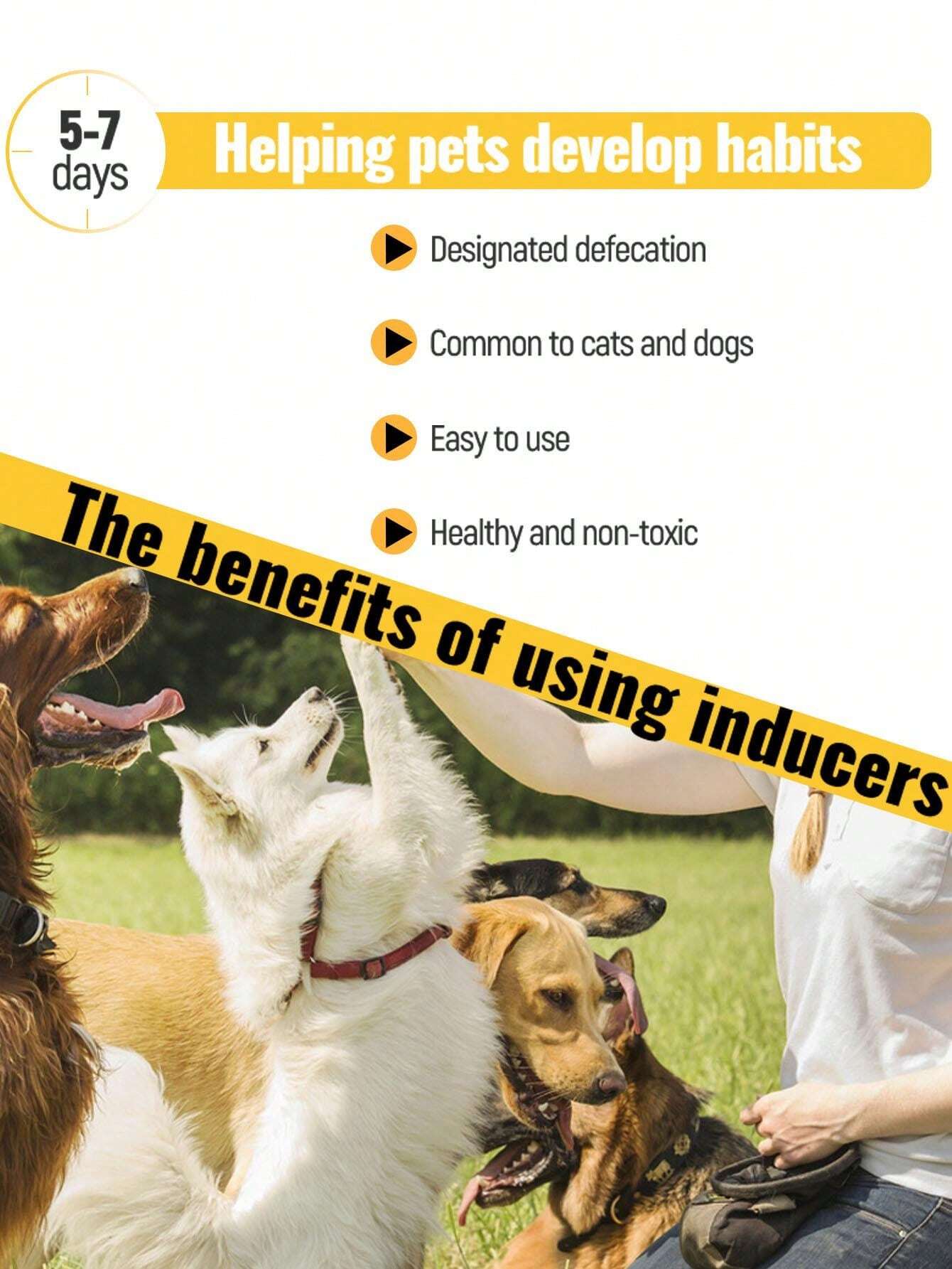 petstoral Potty Here Training Aid Spray Attractive Scent Helps Train