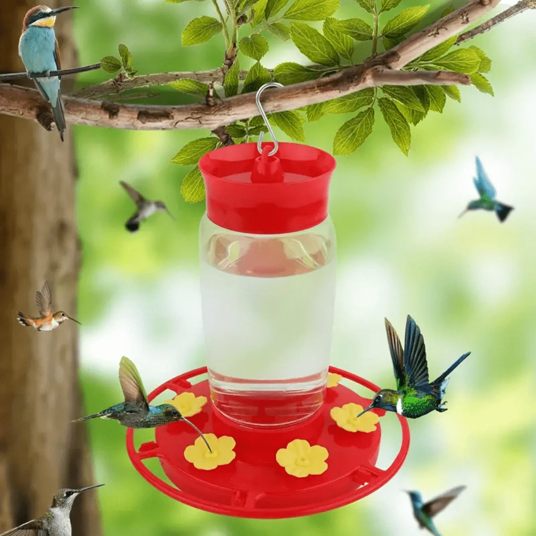Outdoor Plastic Hummingbird Feeder With Ant Protection Device Comes