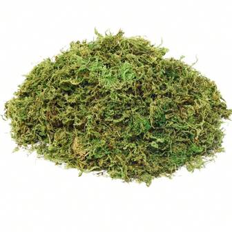 Moss For Potted Plants Artificial Moss For Fake Plants Faux Moss For Planters Decorative Moss For Craft And Home Decor Gifts Birthday Graduation,Garden Decor,Outdoor Plant,Gardening,Fake Flowers