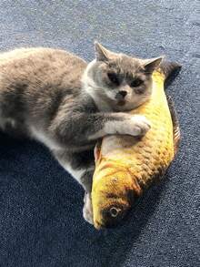 1 Juego/2 Piezas Juguetes De Simulación De Peces Para Gatos, Para Moler Los Dientes Y Jugar - Gris - Ver 6