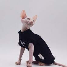 Sphynx Cat Clothes, Spring Summer Comfortable Breathable High-End Thin T-Shirt For Devon Rex Cat(Lightweight) - Black - View 5