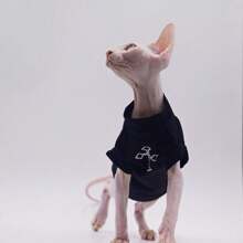 Sphynx Cat Clothes, Spring Summer Comfortable Breathable High-End Thin T-Shirt For Devon Rex Cat(Lightweight) - Black - View 4