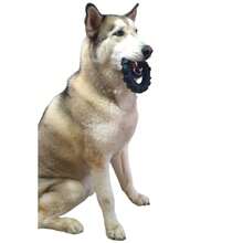 Pet Chew Toys - 黑色 - 查看 1