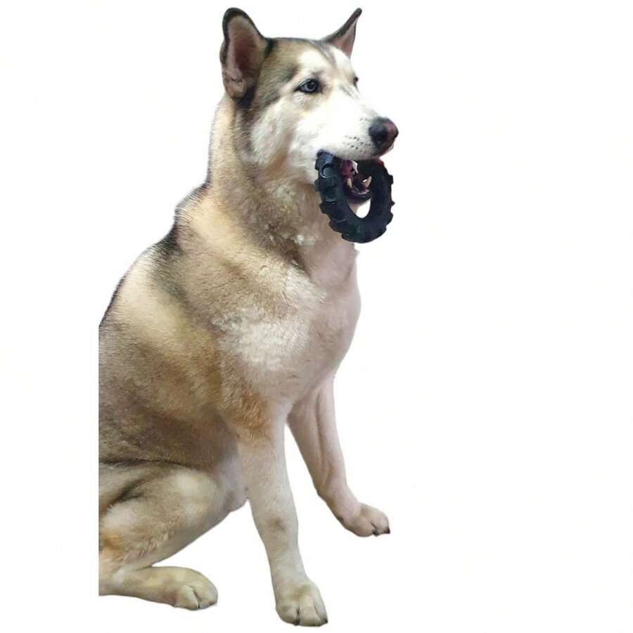 Pet Chew Toys - 黑色 - 查看 1