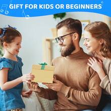 Acordeón de niños, 17 llaves, 8 bajos, acordeón para niños, acordeón de piano con correa de transporte ajustable, acordeón para adultos y niños de 3 años, regalo de instrumentos musicales de Ziehamonikar