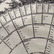 1pc Family Tree Chart To Fill In 6 Generation Genealogy, To Fill In Blank Fillable Ancestry Chart, For Family Member Gifts, Canvas Cloth  Excluding Frames - Black and White - View 3