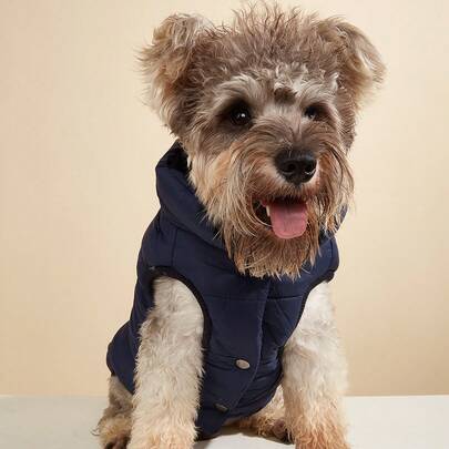 1件簡單純色冬季寵物外套,內附有毛絨,適用於大型犬戶外防風金毛獵犬衣服