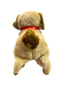 Other Electric Educational Toys - 米色 - 查看 3