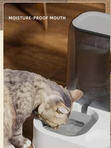 雙碗自動寵物飲水器和飼料器 - 彩色 - 查看 9