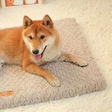 Washable Plush Pet Bed, Made With High-Resilience Wavy Foam Filling - Comfortable Dog & Cat Sofa, Suitable For Small To Medium Pets, All Seasons (Recommend Selecting One Size Larger For Best Comfort, And Allow 2-3 Days For The Foam To Fully Expand) - Multicolor - View 7