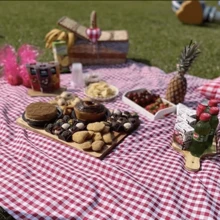 Picnic Mat - 紅白格子-小號 - 查看 3