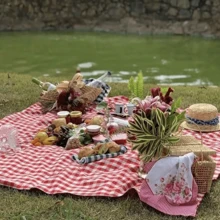 Picnic Mat - 紅白格子-小號 - 查看 2