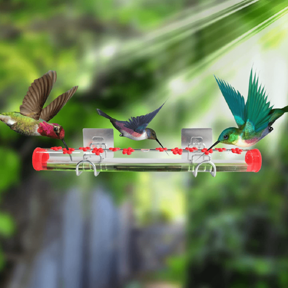 Windows Hummingbird Feeder,Outdoor Hummingbird Feeder Tube For Outdoors