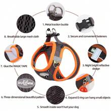 全新款式狗繩,胸前和背後配有透氣網狀帶,適用於遛狗,寵物配件 - 黑色 - 查看 8