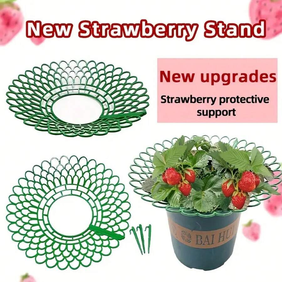 5Pcs Strawberry Plant Supports Strawberries Growing Racks Holder Anti