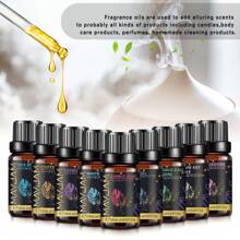 PHATOIL 1入組10ML/0.33Fl.Oz香水精油滾珠香水，香茅、輕熟女、白色麝香、椰子與香草、好女孩、烏木、香草麝香、天使之吻、野性之心、閃亮水晶、炸彈殼、琥珀之戀、絕麗、草莓、櫻桃、清新亞麻、泡泡糖、海風 - scent - 查看 1