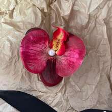 波西米亚风 1 件装蝴蝶兰花朵发夹仙女森林夹爪夹发夹发夹 - 杏色 - 查看 24