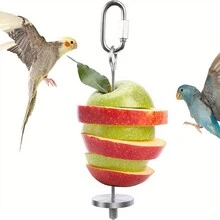 1個不銹鋼鳥食料架-大號鸚鵡水果蔬菜棒，附有尋食玩具和小吃串 - 銀色 - 查看 1