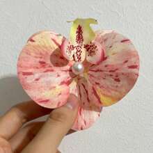 波西米亚风 1 件装蝴蝶兰花朵发夹仙女森林夹爪夹发夹发夹 - 杏色 - 查看 21