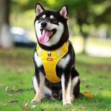 1入犬用無勾式胸背帶，可調節柔軟帶墊大型狗狗胸背帶，帶有易於控制的手柄和反光犬胸背帶 - 黃色 - 查看 10