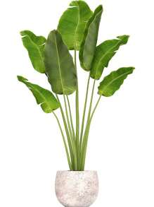 1pc Artificial Green Plant Wall Sticker, Potting Decoration For Living Room, Entrance, Home Adhesive Decorative Paper