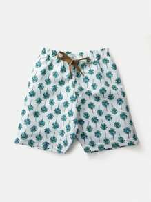 Young Boys Sets - Lạc đà - Xem 5