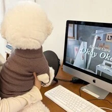 1件春秋新款狗狗和貓咪風格薄款運動衫,適用於吉娃娃、博美犬和其他小型和中型犬 - 彩色 - 查看 17