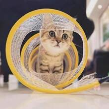 Brinquedo Para Gatos Pets Túnel Labirinto Mola maluca interativo