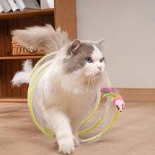 Brinquedo Para Gatos Pets Túnel Labirinto Mola maluca interativo
