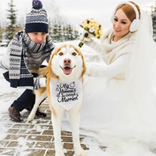 訂婚禮物-寵物頸巾,婚禮照片攝影道具,寵物圍巾,狗頸巾訂婚宣布,寵物配件