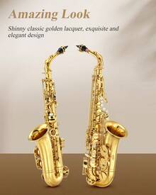 Eastar Alto Saxophone E Flat Gold Lacquer For Beginner Home Band Practice Supplies Musical Brass Instruments Sax Full Kit With Carrying Sax Case Mouthpiece Straps Reeds Stand AS-Ⅱ - AS- - View 4