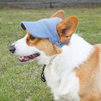 Pet Breathable Baseball Cap - Dog Exclusive, Corduroy Pet Outdoor Sun Hat, Dog Leisure Dressing Sun Cap, Cool And Fashionable Hat For Cats And Dogs