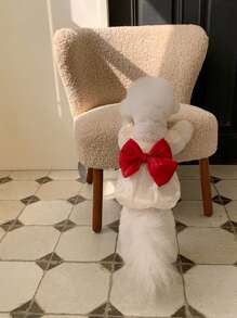 1 件装宠物服装夏季蝴蝶结礼服网眼裙适合泰迪、比熊、狗和猫 - 香檳色 - 查看 7