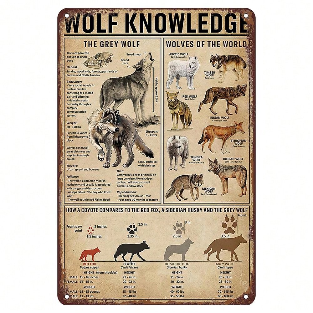 Panier Ancien En Métal Vintage | Kaufen Auf