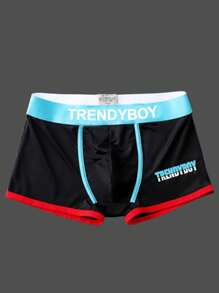 4入組男士隨機顏色透氣柔軟短平角內褲，採用冰絲製成，具彈性和舒適，適合休閒風格 - 彩色 - 查看 3