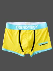 4入組男士隨機顏色透氣柔軟短平角內褲，採用冰絲製成，具彈性和舒適，適合休閒風格 - 彩色 - 查看 5