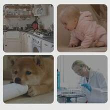 50/100 chiếc Chó Hấp thụ Giấy Thú cưng Tấm lót Dùng một lần Tã giấy Mèo Chó Chống rò rỉ Thú cưng Nhanh khô Chó - trắng - Xem 5