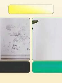 Large Roller Water-Based Latex Paint For Household Wall Repair, White, Low Odor, Random Color With Free Tools - Orange - View 6