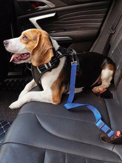 Cinto de segurança retrátil para cães e gatos