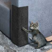 Cat Scratcher Carpet Protector Sofa And Bed Box - Black - View 5