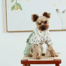 1 件适合中小型犬和猫的宠物衣服，花卉印花泡泡袖连体衣，二合一设计和四条腿裤，适合泰迪、比熊、雪纳瑞等。 - 綠色 - 查看 4