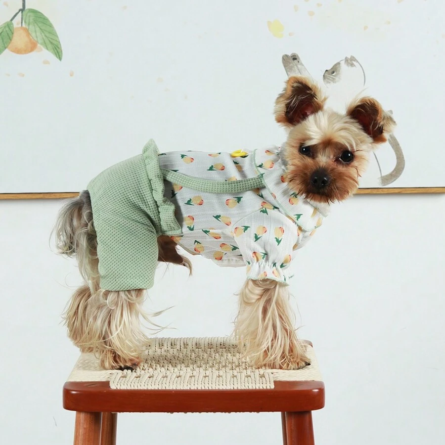 1 件适合中小型犬和猫的宠物衣服，花卉印花泡泡袖连体衣，二合一设计和四条腿裤，适合泰迪、比熊、雪纳瑞等。 - 綠色 - 查看 1