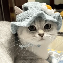 手工针织可爱角色扮演宠物帽子，猫、狗、兔子头饰