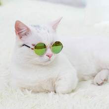 1只金屬框架防uv寵物太陽眼鏡,適用於小寵物作為裝飾 - 彩色 - 查看 18
