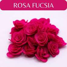 Rosa Fucsia