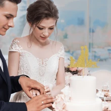 Wedding Cake Topper Bride & Groom With Dog & Cat Cake Decoration - Gold - View 3