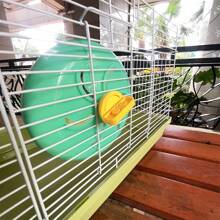 Installable Hamster Exercise Wheel- Quiet Running Wheel For Hamster Cage - The Perfect Choice For Small Pets! - Multicolor - View 4