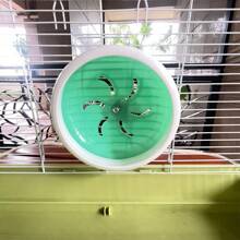 Installable Hamster Exercise Wheel- Quiet Running Wheel For Hamster Cage - The Perfect Choice For Small Pets! - Multicolor - View 3