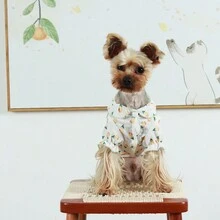 1 件适合中小型犬和猫的宠物衣服，花卉印花泡泡袖连体衣，二合一设计和四条腿裤，适合泰迪、比熊、雪纳瑞等。 - 綠色 - 查看 5
