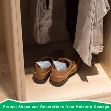 O2frepak 100 Gram(10Packs) Food Moisture Absorber Silica Gel Desiccant Packets For Storage,Desiccant Silica Gel Packs Food Safe For Moisture - 白色 - 查看 6